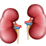 kidney disease photo