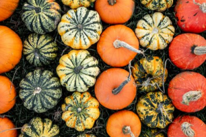 Fall Skin Care Regimen