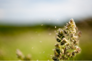 Five Things to do When Seasonal Allergies Attack Your Skin