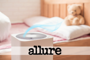 The Best Humidifiers to Buy at Every Price Point