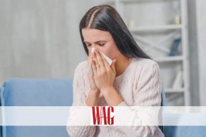 Allergic to Fido and Fluffy