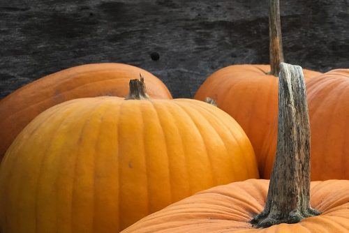 Pumpkin Spice Skincare