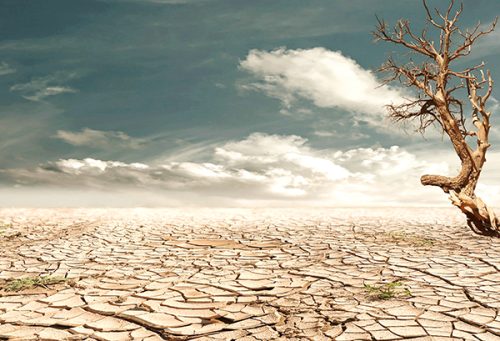 Dry skin? Here are some Dermatologists’ top tips.